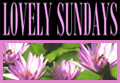 Lovely Sundays logo