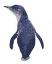 Penguin Water Cruises logo